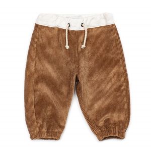 Pantaloni in Velluto