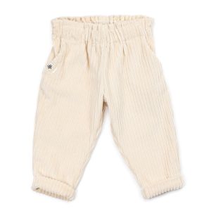 Chinos in Velluto